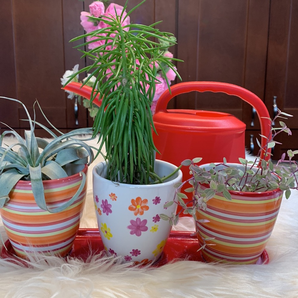 SALE!! Planter set trio with drip tray